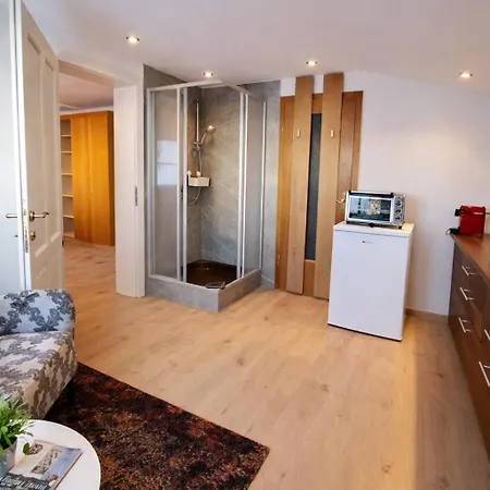 Apartment Toms Stadtapartment Saalfelden