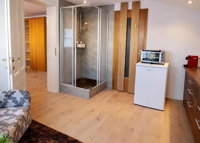 Apartment Toms Stadtapartment Saalfelden